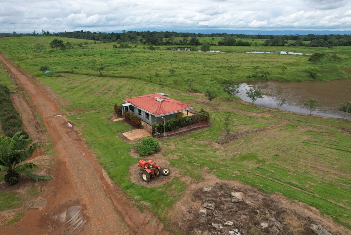 Fincas en San Carlos